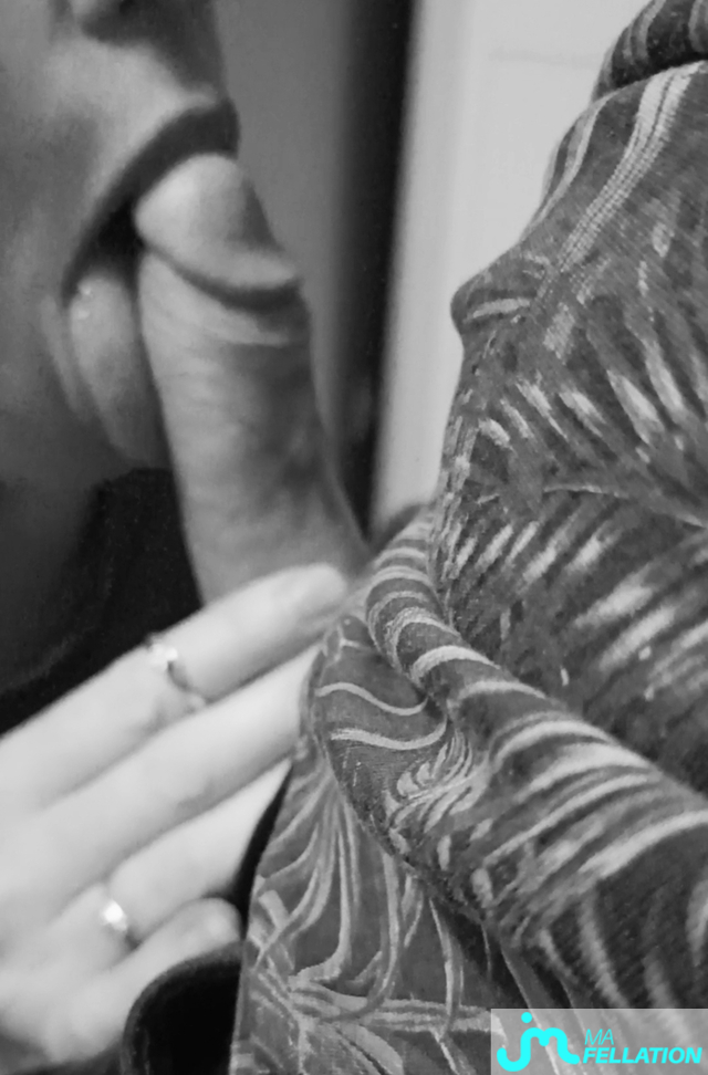 fellations de J&E2016