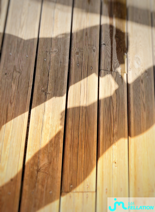 fellations de Lutranonyma